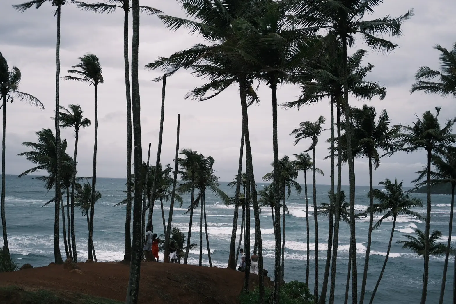 Sri Lanka Wildlife 01